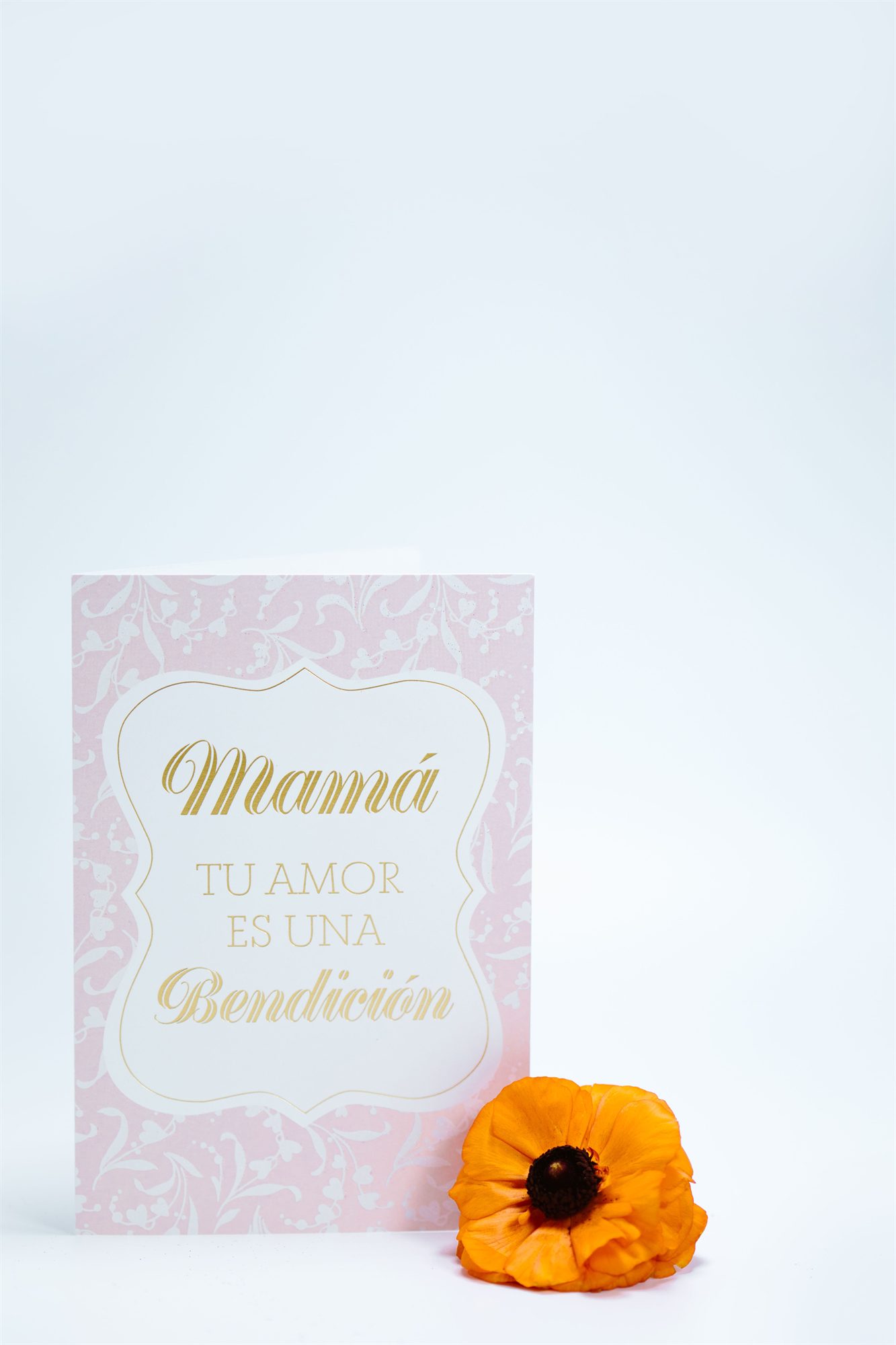 Mensajes para el Día de la Madre de parte de toda la familia